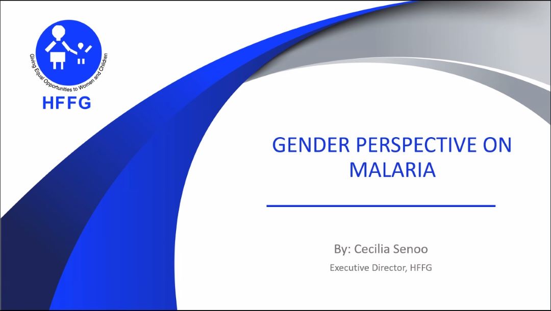 Cecilia Lodonu-Senoo's presentation
